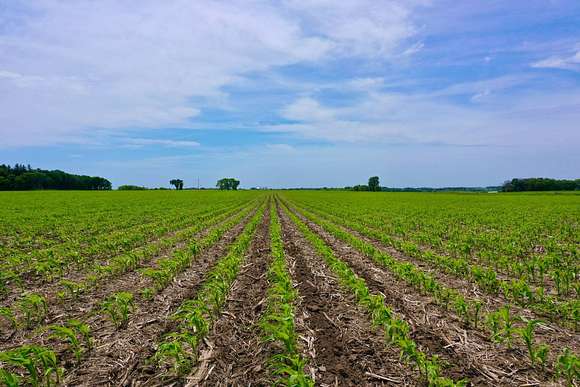 68.73 Acres of Agricultural Land for Sale in Nora Springs, Iowa