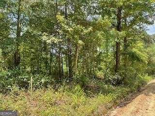 5 Acres of Residential Land for Sale in Eastman, Georgia