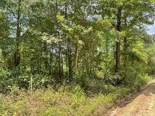 5 Acres of Residential Land for Sale in Eastman, Georgia