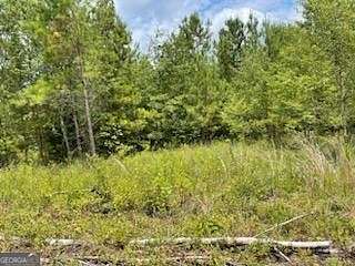 5 Acres of Residential Land for Sale in Eastman, Georgia