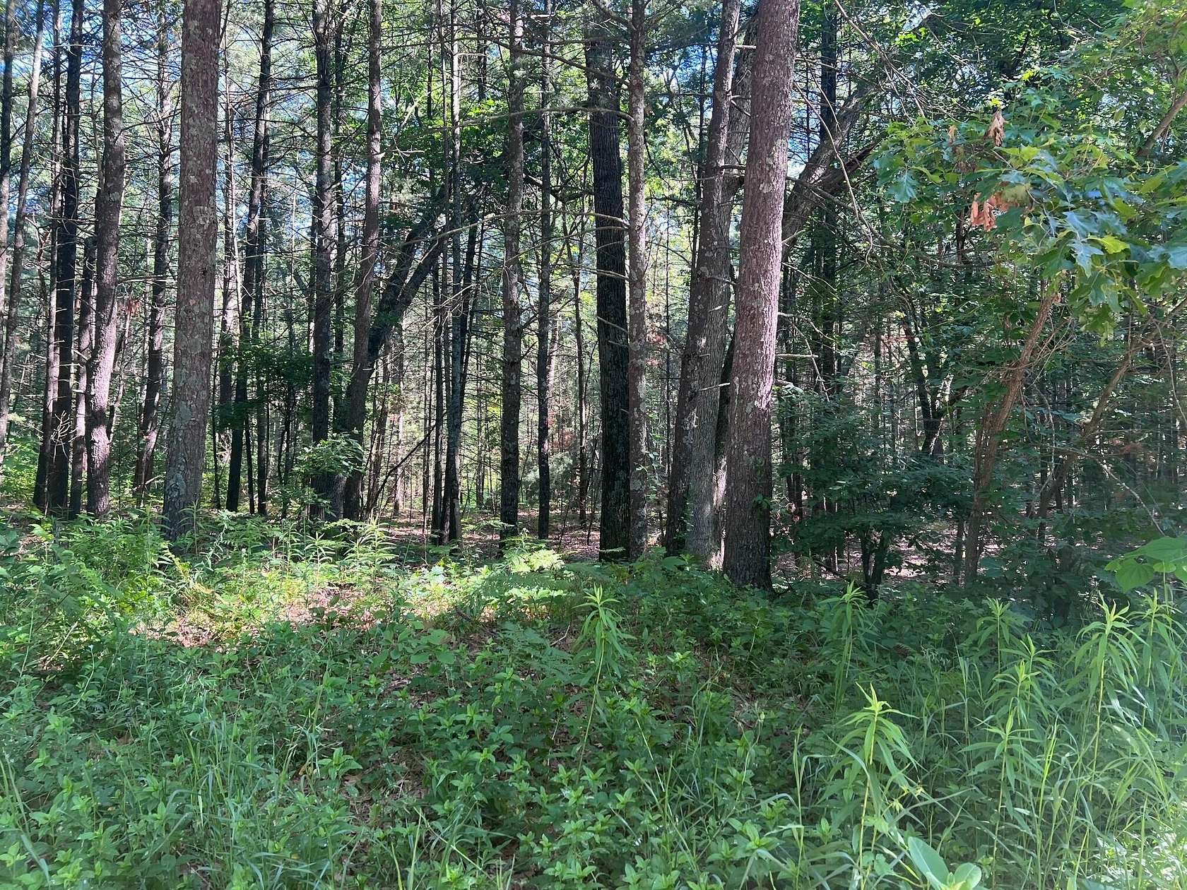 1.82 Acres of Residential Land for Sale in Twin Lake, Michigan