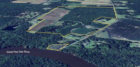 90 Acres of Agricultural Land for Sale in Hemingway, South Carolina