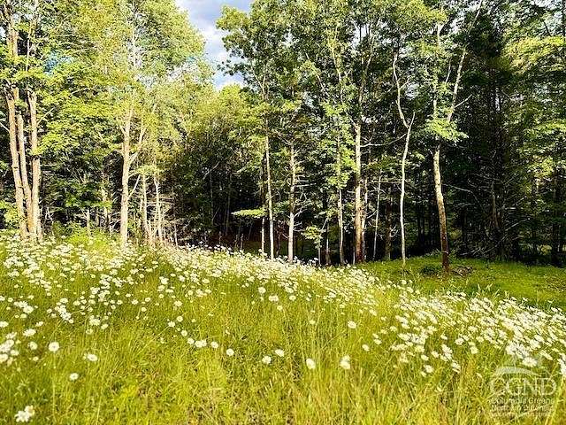 14.75 Acres of Land for Sale in Earlton, New York
