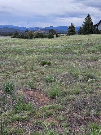 5 Acres of Residential Land for Sale in Cotopaxi, Colorado