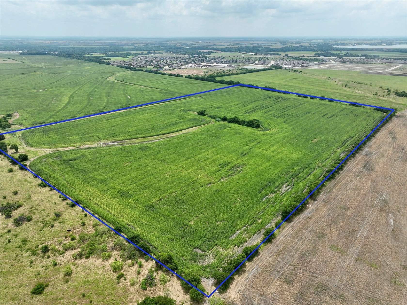 44 Acres of Agricultural & Residential Land for Sale in Waxahachie, Texas