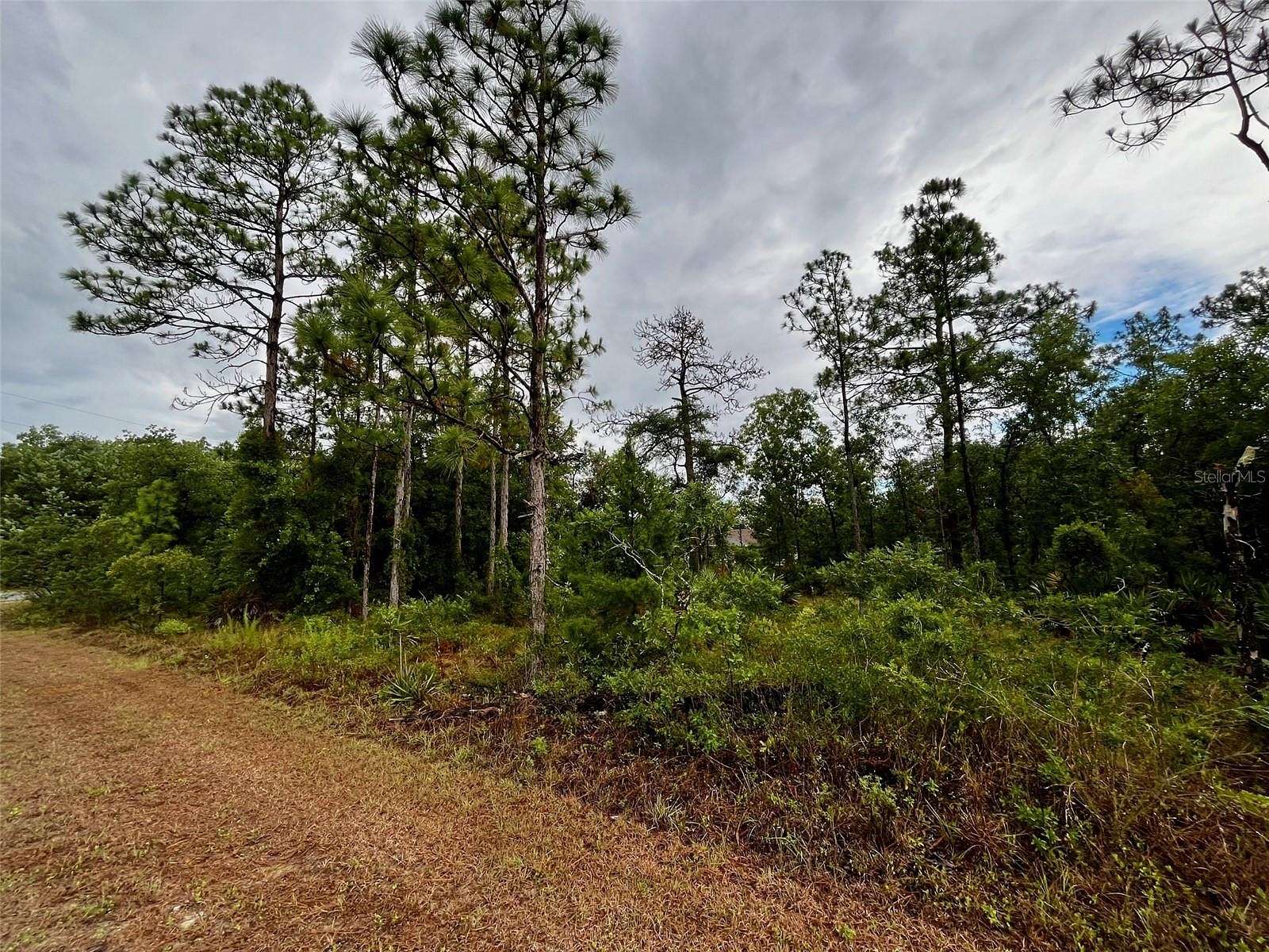 0.48 Acres of Residential Land for Sale in Weeki Wachee, Florida
