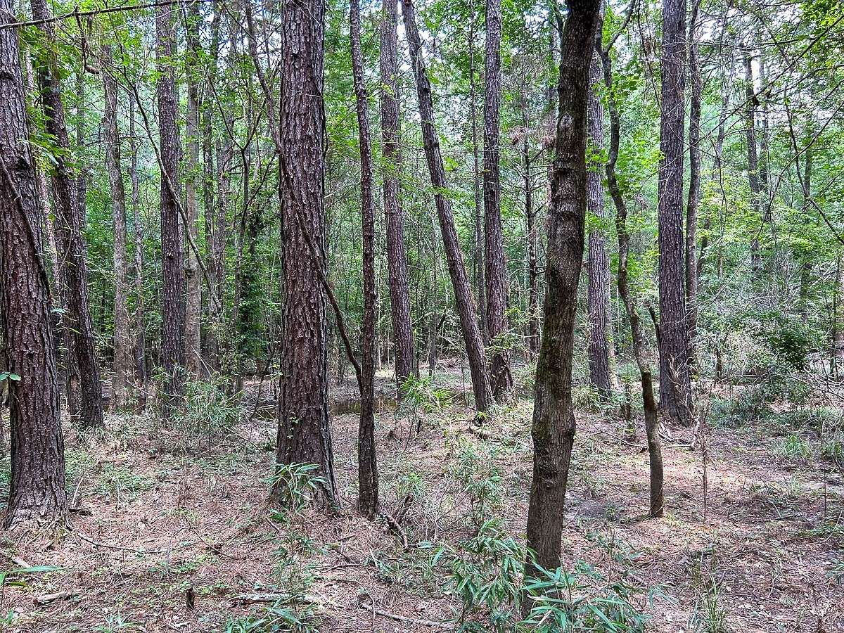 180.626 Acres of Recreational Land for Sale in Livingston, Texas