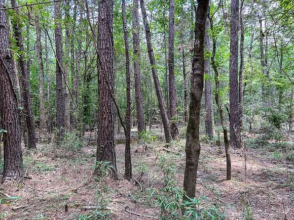 180.626 Acres of Recreational Land for Sale in Livingston, Texas