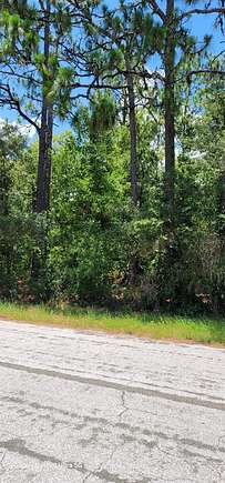 0.28 Acres of Residential Land for Sale in Citrus Springs, Florida
