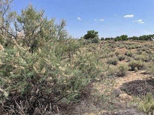 2.94 Acres of Land for Sale in Fredonia, Arizona