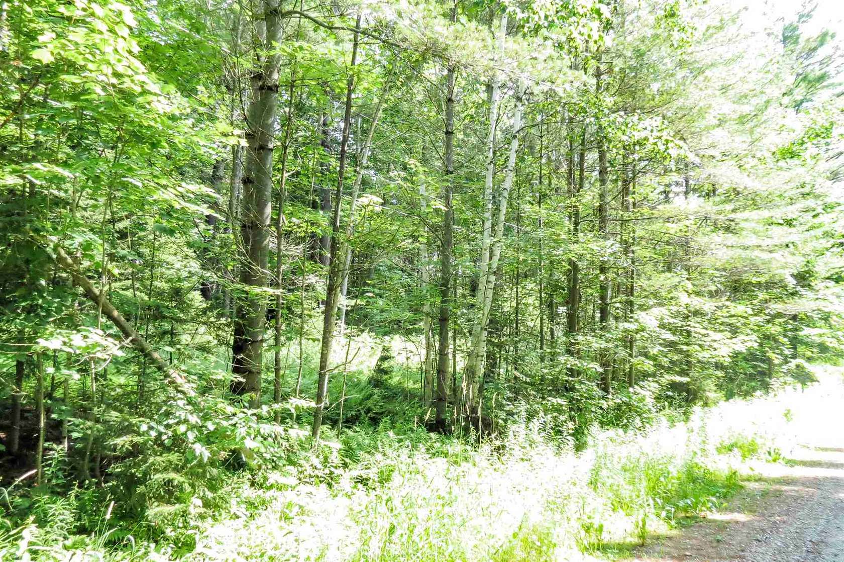 13.4 Acres of Land for Sale in Ludlow, Vermont