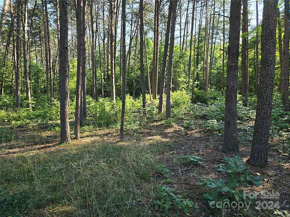 20 Acres of Recreational Land for Sale in Salisbury, North Carolina