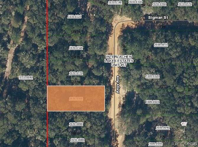 0.29 Acres of Residential Land for Sale in Interlachen, Florida