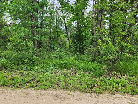 0.17 Acres of Residential Land for Sale in Idlewild, Michigan
