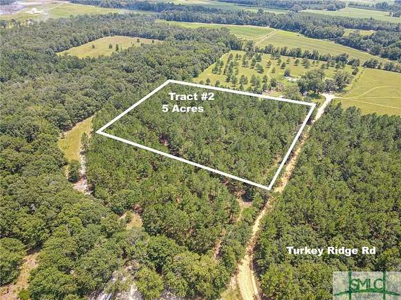 7.787 Acres of Mixed-Use Land for Sale in Metter, Georgia