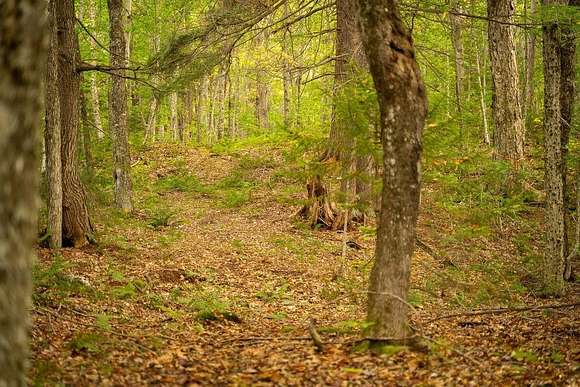 14.8 Acres of Land for Sale in Middlesex, Vermont