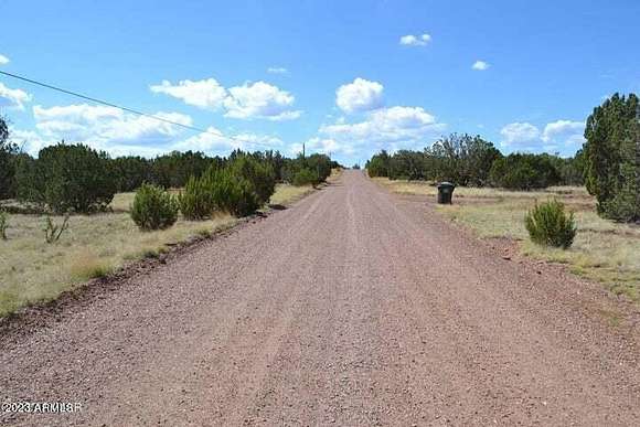 1.25 Acres of Residential Land for Sale in White Mountain Lake, Arizona