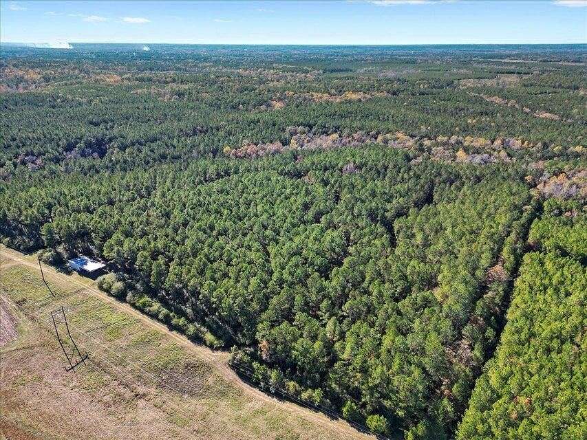 70 Acres of Agricultural Land for Sale in Columbia, Mississippi