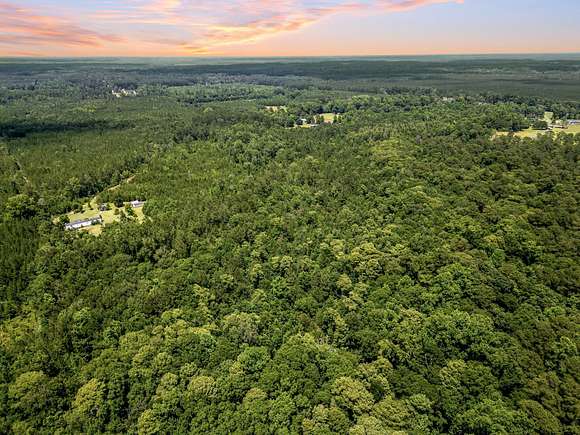 33.69 Acres of Improved Land for Sale in Andrews, South Carolina