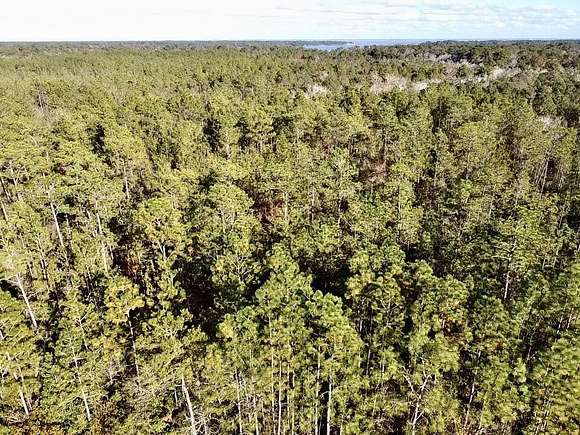 112.59 Acres of Recreational Land & Farm for Sale in Theodore, Alabama