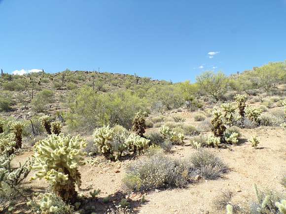 1.25 Acres of Residential Land for Sale in Wikieup, Arizona