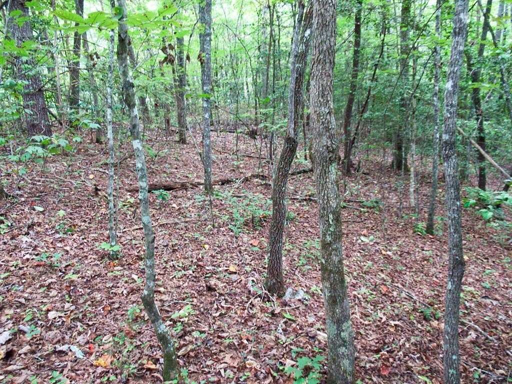 0.79 Acres of Land for Sale in Franklin, North Carolina