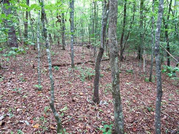 0.79 Acres of Land for Sale in Franklin, North Carolina