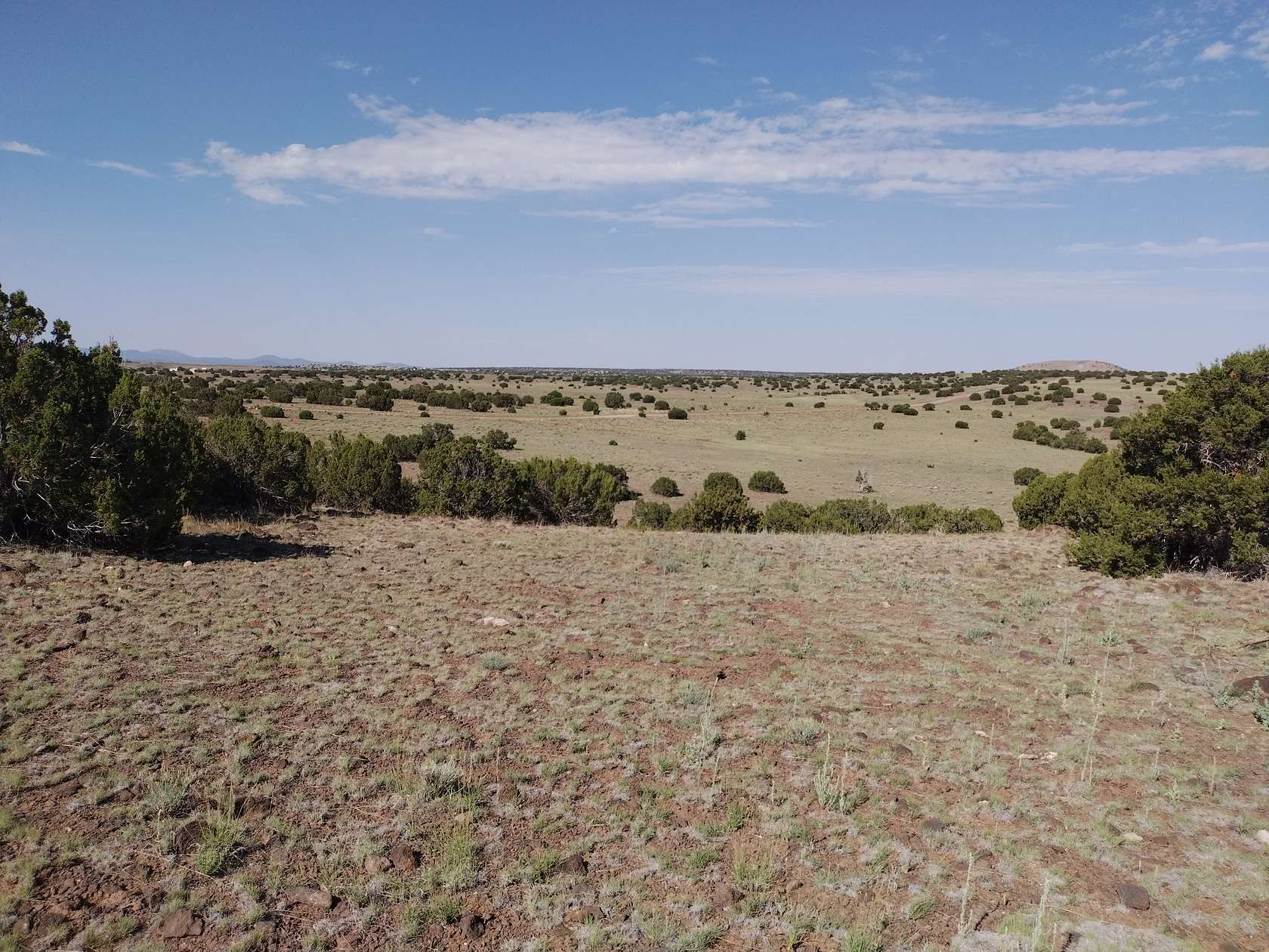 1.04 Acres of Residential Land for Sale in Concho, Arizona