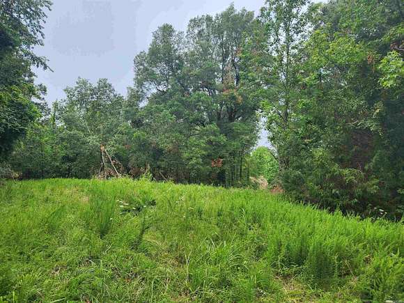 38.03 Acres of Land for Sale in Rector, Arkansas