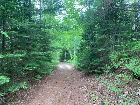 20 Acres of Recreational Land for Sale in Paradise, Michigan