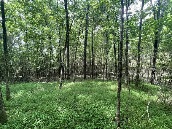 0.25 Acres of Residential Land for Sale in Selmer, Tennessee
