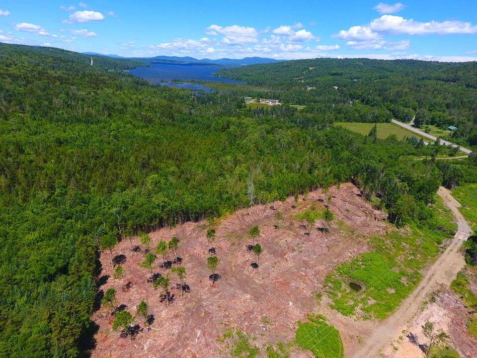 3.5 Acres of Land for Sale in Sandy River Plantation, Maine