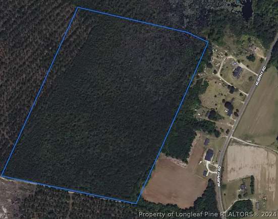 47 Acres of Recreational Land for Sale in Stedman, North Carolina