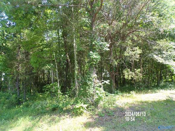 0.44 Acres of Land for Sale in Hokes Bluff, Alabama