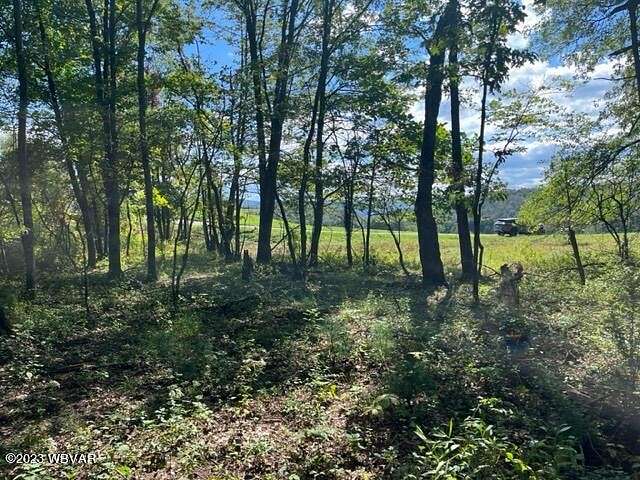 1 Acres of Residential Land for Sale in Williamsport, Pennsylvania