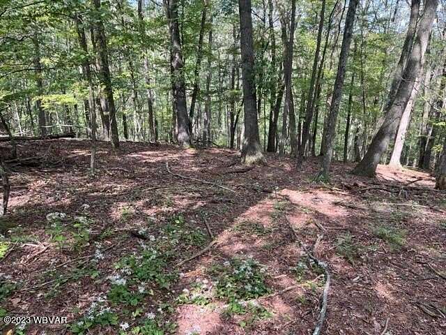 1 Acre of Residential Land for Sale in Williamsport, Pennsylvania