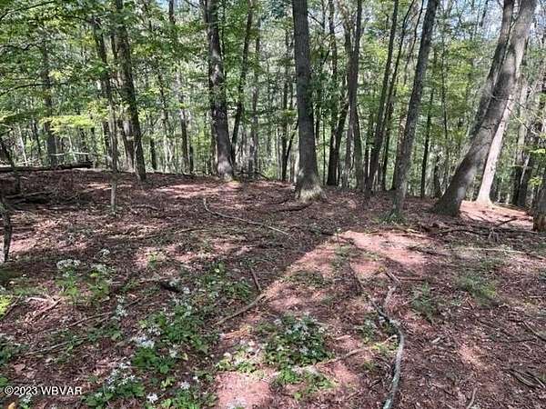 1 Acre of Residential Land for Sale in Williamsport, Pennsylvania