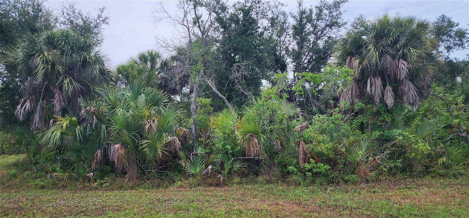 0.39 Acres of Residential Land for Sale in Rotonda West, Florida