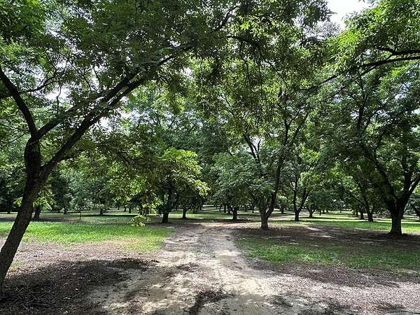 87.4 Acres of Mixed-Use Land for Sale in Cairo, Georgia