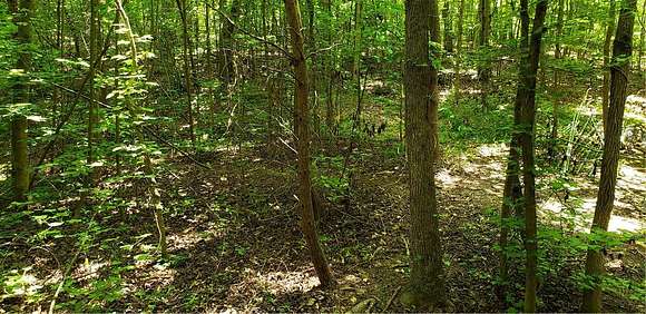 0.89 Acres of Residential Land for Sale in Pelzer, South Carolina