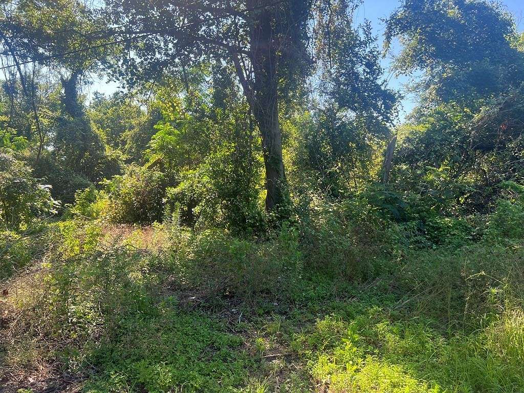 0.4 Acres of Residential Land for Sale in Palestine, Texas