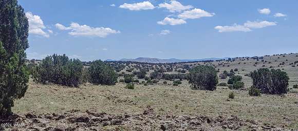 14.18 Acres of Land for Sale in Concho, Arizona