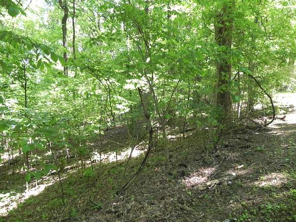 Residential Land for Sale in Hixson, Tennessee