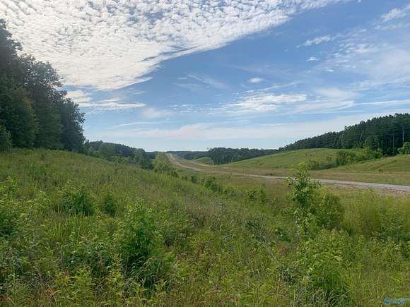 1.46 Acres of Land for Sale in Phil Campbell, Alabama