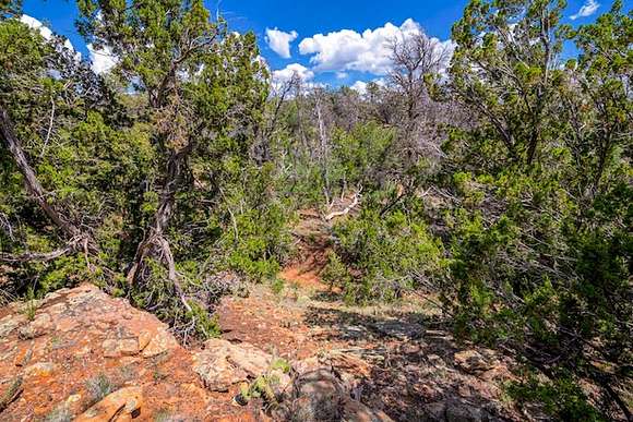 2.5 Acres of Residential Land for Sale in Ramah, New Mexico