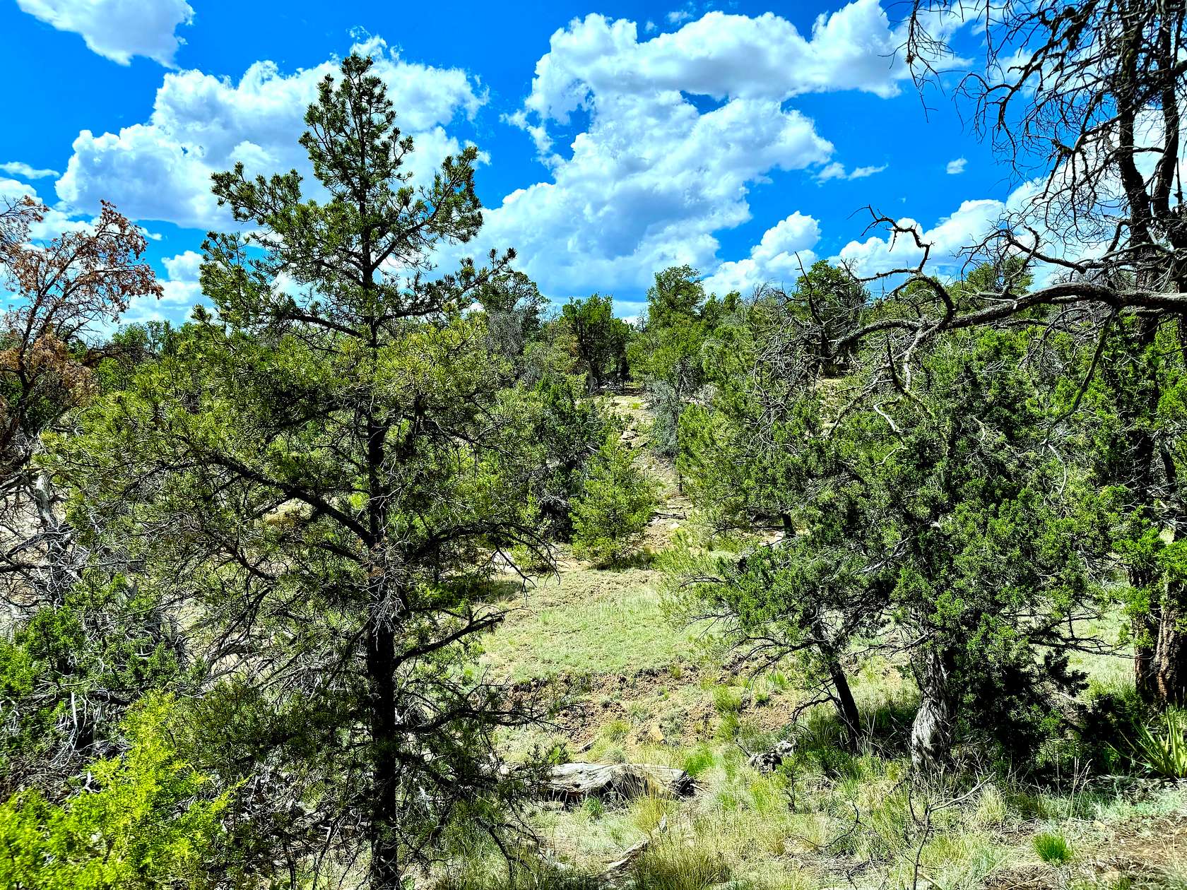 2.5 Acres of Residential Land for Sale in Ramah, New Mexico