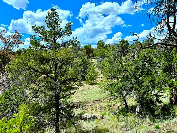 2.5 Acres of Residential Land for Sale in Ramah, New Mexico