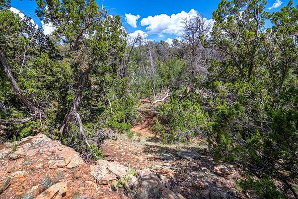 2.5 Acres of Residential Land for Sale in Ramah, New Mexico