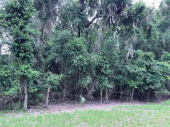 1.03 Acres of Residential Land for Sale in Chiefland, Florida
