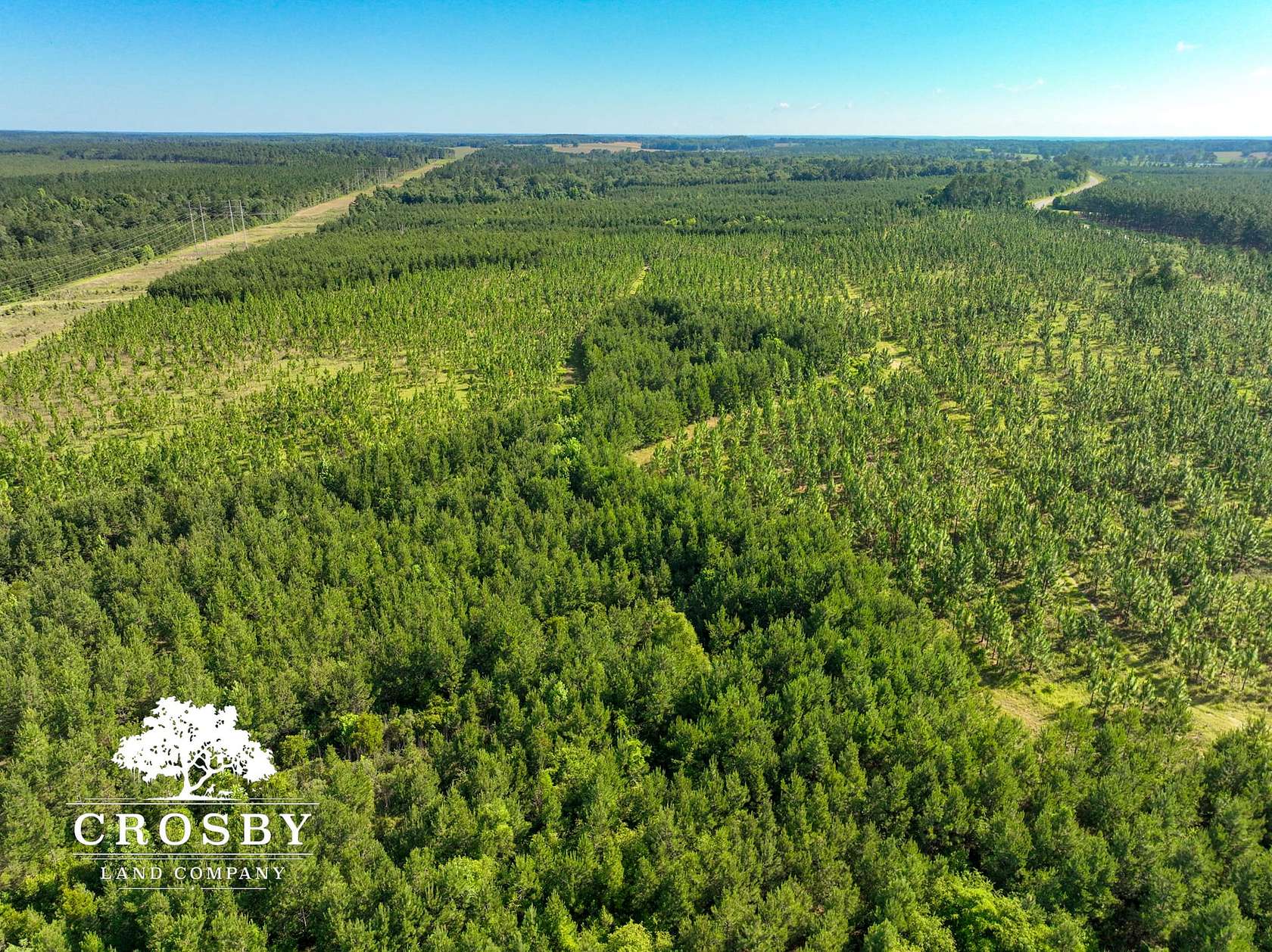 162.74 Acres of Land for Sale in Soperton, Georgia